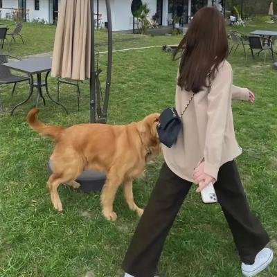 爱欲潜行