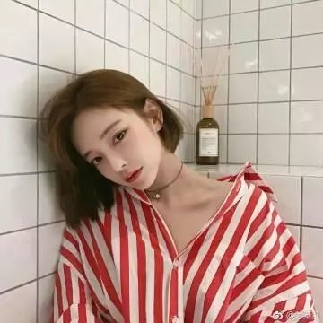 鲁冰花